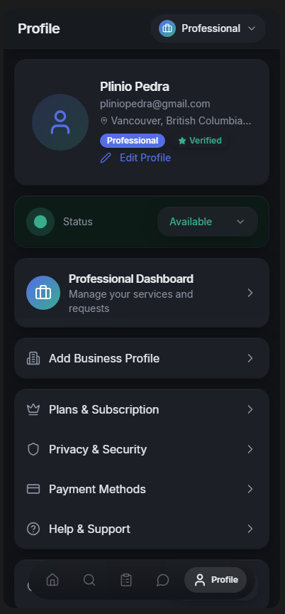 Professional portfolio